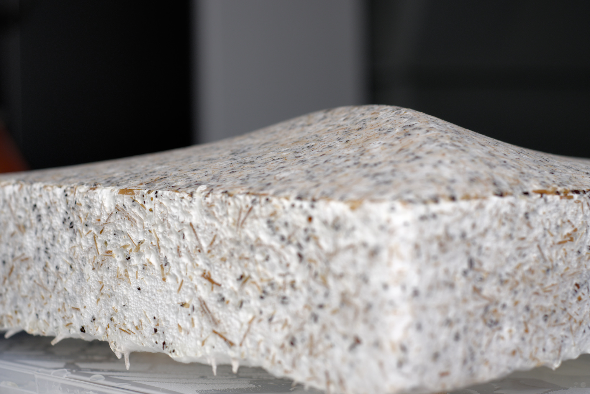 Pilzmyzel Oberfläche