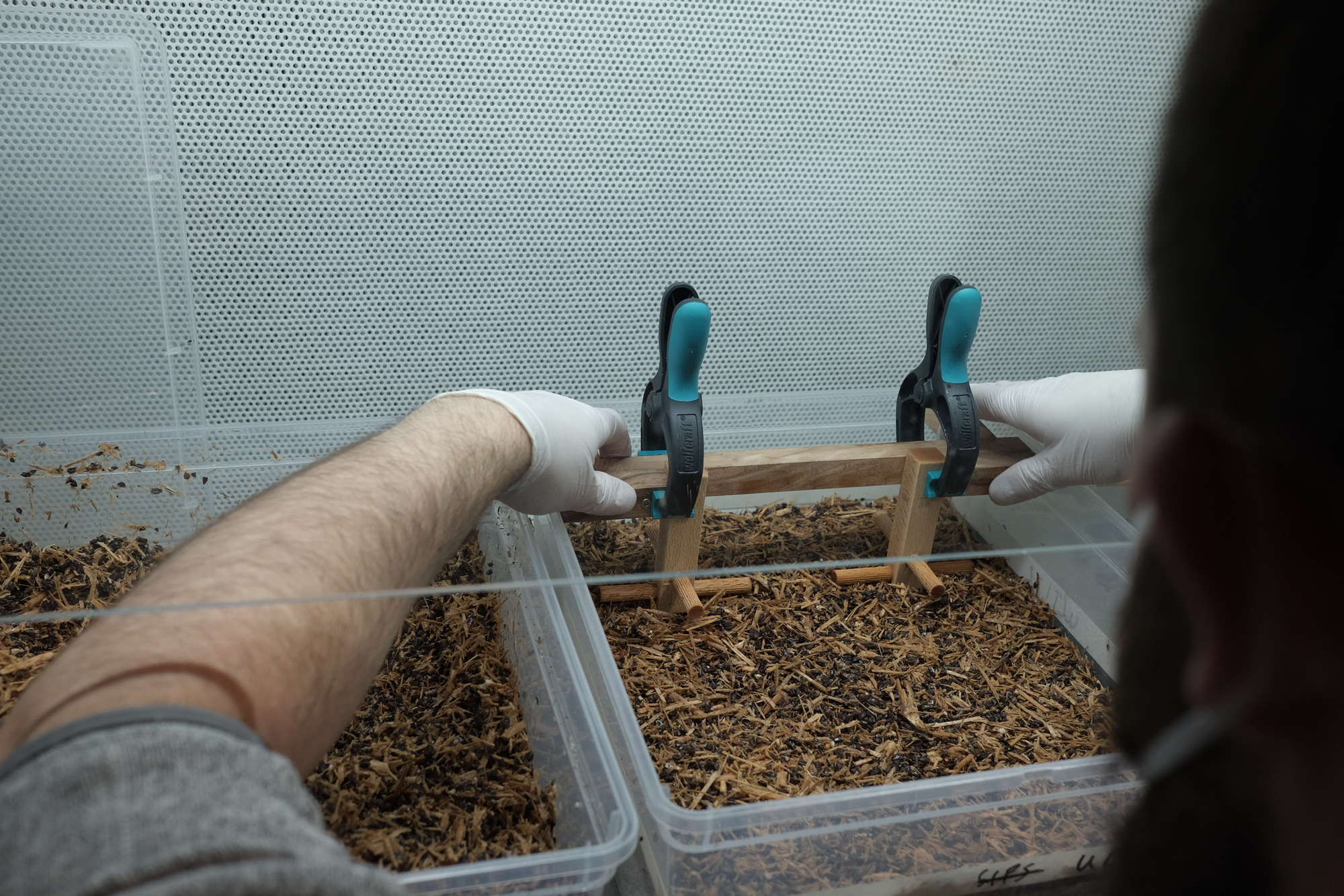 Einbetten des Ankers