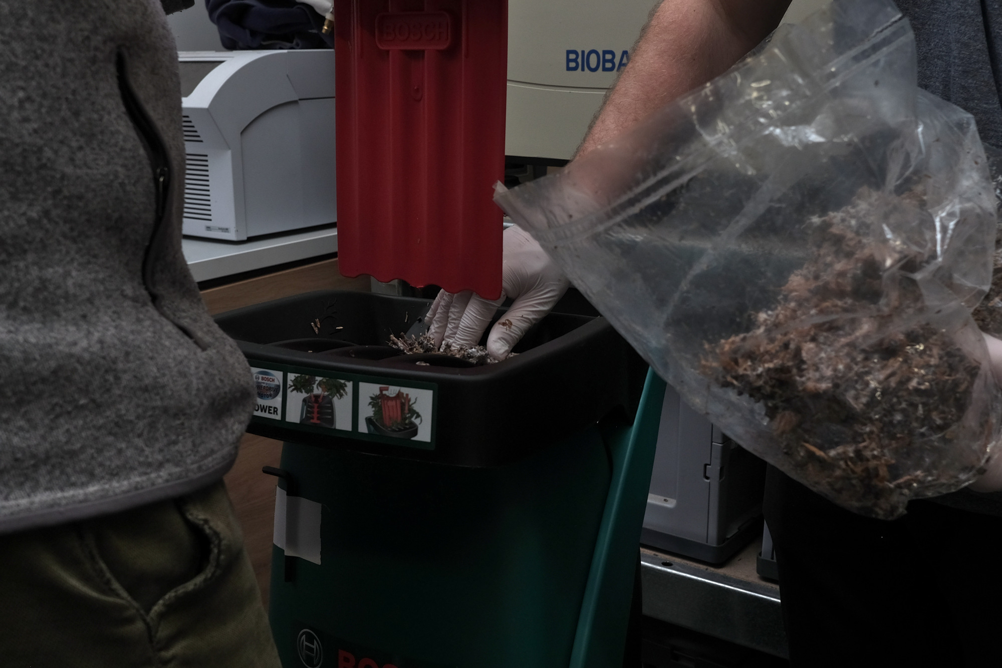 Zerkleinerung des Myzels