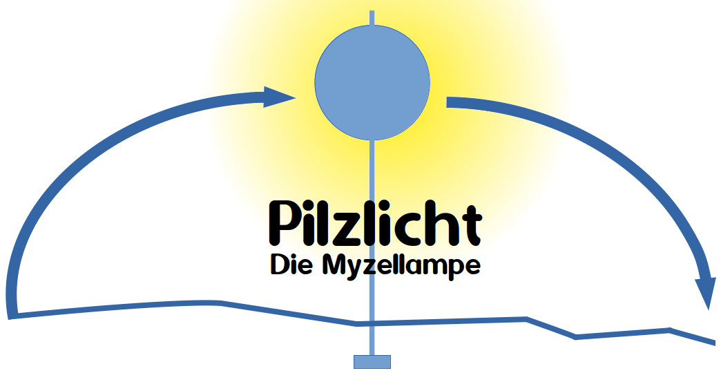 Pilzlicht