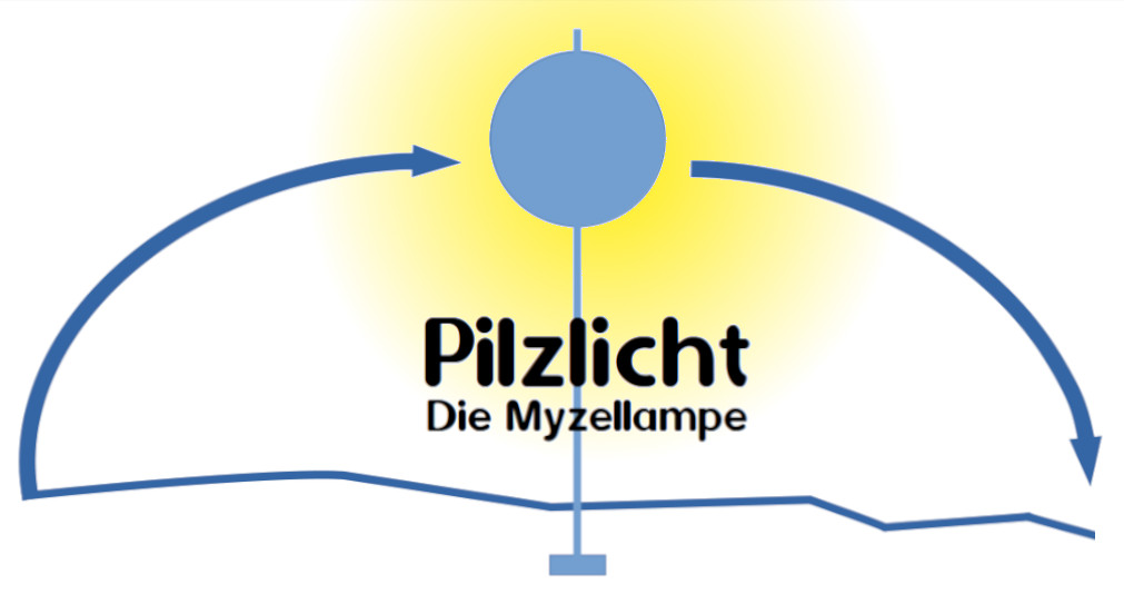 Pilzlicht